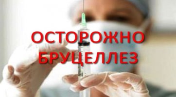 Профилактика Бруцеллеза