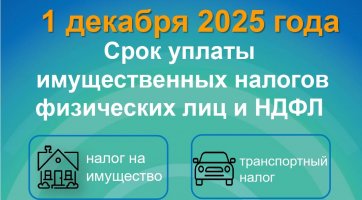 1 декабря Срок уплаты  имущественных налогов